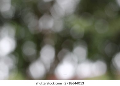 a visual effect produced by a camera lens that renders the background or out-of-focus areas soft and blurred,” captured using a professional Canon camera