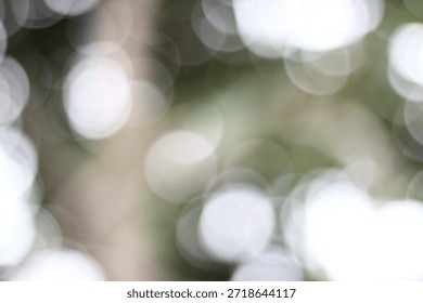 a visual effect produced by a camera lens that renders the background or out-of-focus areas soft and blurred,” captured using a professional Canon camera