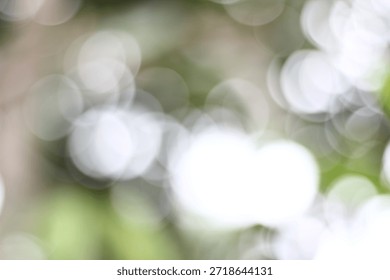 a visual effect produced by a camera lens that renders the background or out-of-focus areas soft and blurred,” captured using a professional Canon camera