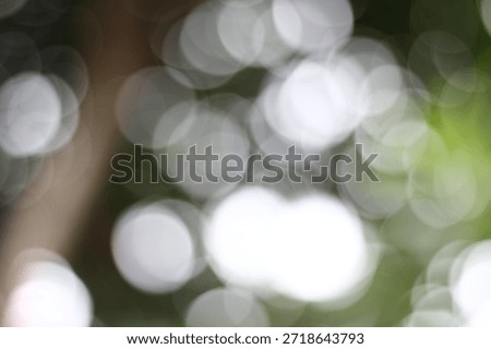 a visual effect produced by a camera lens that renders the background or out-of-focus areas soft and blurred,” captured using a professional Canon camera