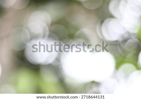 a visual effect produced by a camera lens that renders the background or out-of-focus areas soft and blurred,” captured using a professional Canon camera