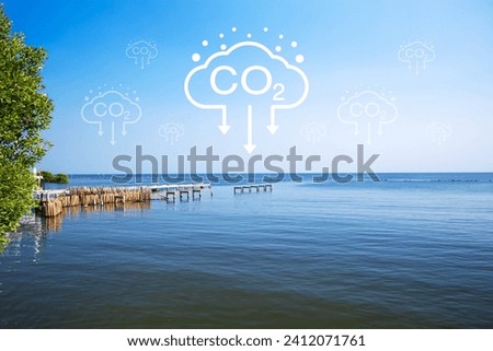 Visual representation of the impact of carbon dioxide emissions on nature, with a CO2 symbol set against a backdrop of waves, illustrating the environmental effects.