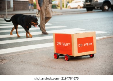 Visualization of a delivery robot in everyday life. The drone meets a person with a dog at a pedestrian crossing.
