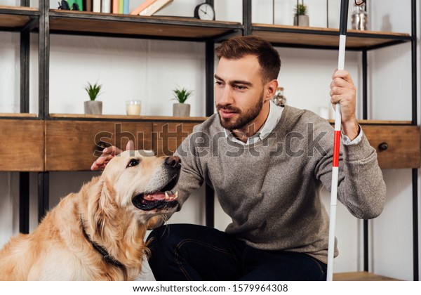 Visually impaired man with walking stick stroking\
golden retriever at\
home