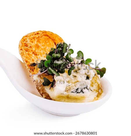 A visually striking appetizer features a blend of creamy cheese with herbs nestled in a unique dish. Fresh microgreens enhance flavors, perfect for fine dining moments.
