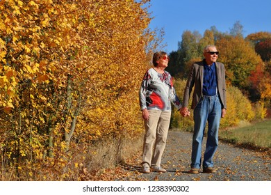 Vital elderly couple in love holding each other and enjoying the autumn season. Leisure activities, spending time, happy retirement and senior lifestyle concept.