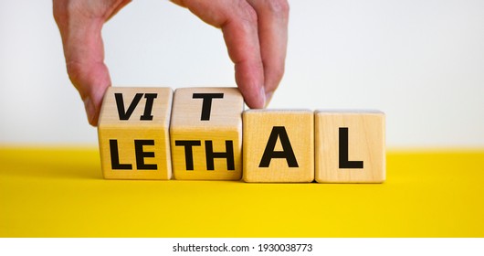 Vital vs lethal symbol. Businessman turns wooden cubes and changes the word 'lethal' to 'vital'. Beautiful yellow table, white background, copy space. Business and vital vs lethal concept.