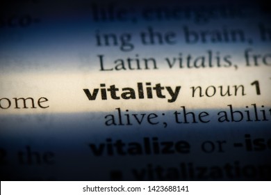 vitality word in a dictionary. vitality concept.