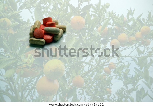 Download 930+ Background Information Of Orange Farm Paling Keren