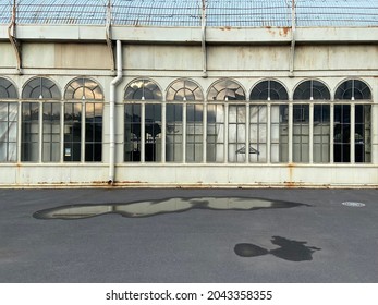 Vitebsky Railway Station Windows At Evening