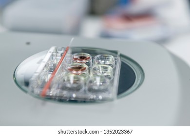 Vitrification Technique In Laboratory