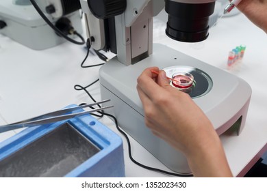 Vitrification Technique In Laboratory