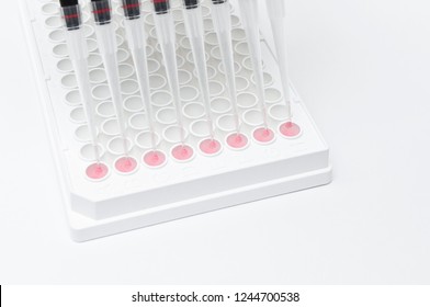 In Vitro Cellular Assay Using Multi Pipette And 96 Well White Plate
