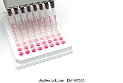 In Vitro Cellular Assay Using Multi Pipette And 96 Well White Plate
