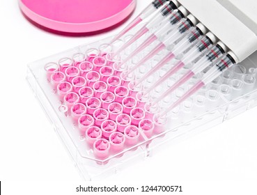 In Vitro Cellular Assay Using Multi Pipette And 96 Well Micro Plate
