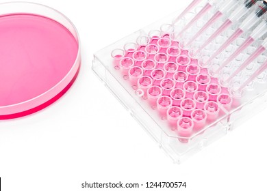 In Vitro Cellular Assay Using Multi Pipette And 96 Well Micro Plate
