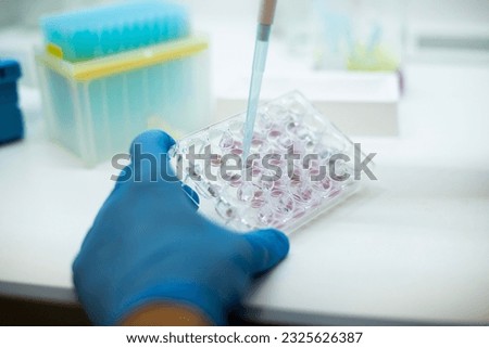 In vitro cellular assay using multi pipette and  well plate, cell culture