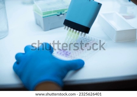 In vitro cellular assay using multi pipette and  well plate, cell culture