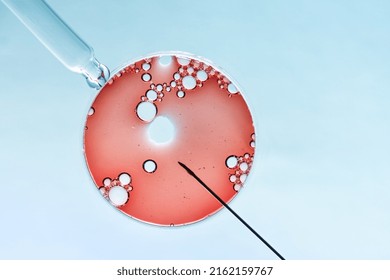 In Vitro Fertilisation Concept. Artificial Insemination Or Fertility Treatment Macro Photography. 