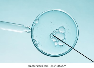 In vitro fertilisation concept. Artificial insemination or fertility treatment macro photography.  - Shutterstock ID 2164902209