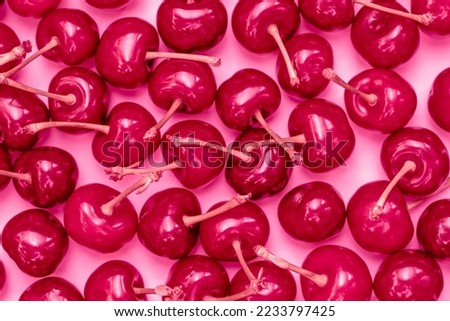 Image, Stock Photo Close up of magenta blossom tulips with water droplets against a blurred green background in the Netherlands