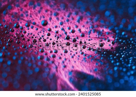 Vivid blue water droplets gracefully adorn a textured pink background, creating a mesmerizing visual contrast. The dynamic interplay of colors and textures evokes a sense of freshness .               