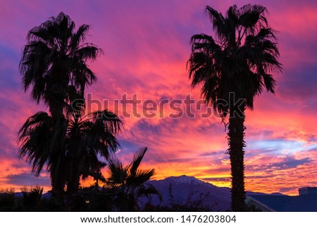 vivid and colorful clouds above the San Jacinto Mountains in Palm Springs with palm trees silhouettes in the foreground