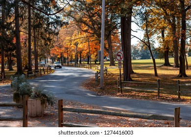 Vivid Colors Are Everywhere On A Bight Sunny Day In A City Autumn Park.