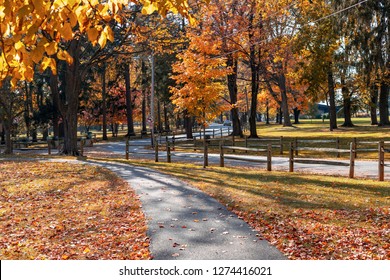 Vivid Colors Are Everywhere On A Bight Sunny Day In A City Autumn Park.