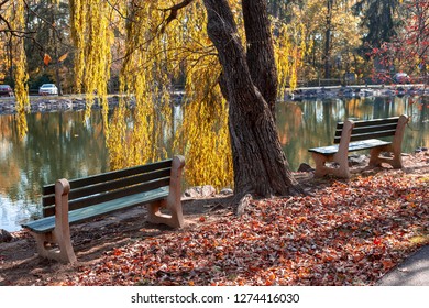 Vivid Colors Are Everywhere On A Bight Sunny Day In A City Autumn Park.