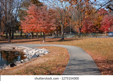 Vivid Colors Are Everywhere On A Bight Sunny Day In A City Autumn Park.