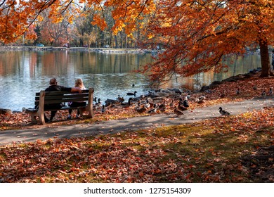 Vivid Colors Are Everywhere On A Bight Sunny Day In A City Autumn Park.