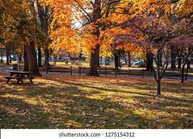 Vivid Colors Are Everywhere On A Bight Sunny Day In A City Autumn Park.