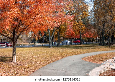 Vivid Colors Are Everywhere On A Bight Sunny Day In A City Autumn Park.