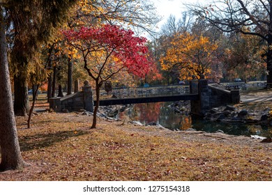 Vivid Colors Are Everywhere On A Bight Sunny Day In A City Autumn Park.