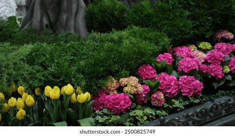 A vivid display of flowers combining bright yellow tulips, pink and green hydrangeas, and lush greenery, showcasing a beautiful natural arrangement in a garden setting. - Powered by Shutterstock