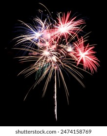Vivid and exciting celebration fireworks exploding against a black sky.