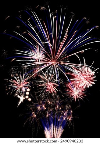 Vivid and exciting celebration fireworks exploding against a black sky.