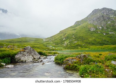 高山植物群images Stock Photos Vectors Shutterstock