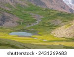 Vivid green landscape with beautiful alpine lake and mountain river close up. Small mountain lake and creek in sunny green valley. Water stream and on steep hillside in sunlight. Ripples on lake water
