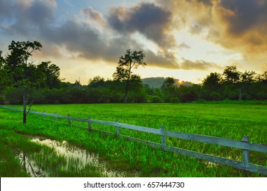 Vivid and low light with high effect of the field in Cashiers city, Asheville,NC, USA