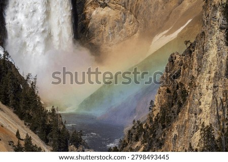 Vivid Rainbow Spanning Lower Falls Mist in Grand Canyon of Yellowstone National Park
