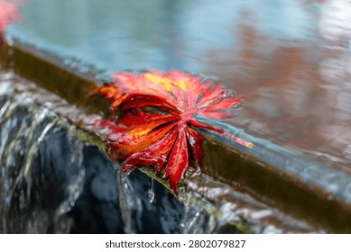 A vivid red maple leaf rests in shallow flowing water at the ledge of a small cascade with soft reflections.