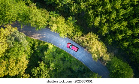 A vivid red wedding car on the way road alone to the wedding ceremony across a lively green fresh forest with deciduous trees
