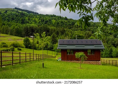 Vivid Summer Scapes From Prahova Valley, Romania