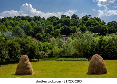 Vivid Summer Scapes From Prahova Valley, Romania