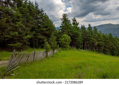 Vivid Summer Scapes From Prahova Valley, Romania