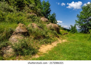 Vivid Summer Scapes From Prahova Valley, Romania