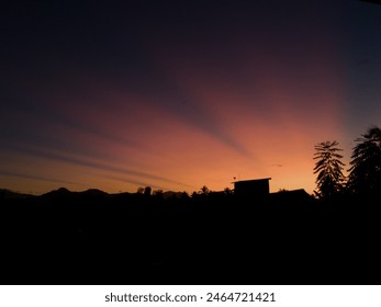 Vivid Sunset Over Silhouetted Trees and Houses in a Rural Area at Twilight - Powered by Shutterstock