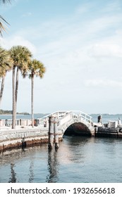 Vizcaya Bridge By The Water With Palmtrees